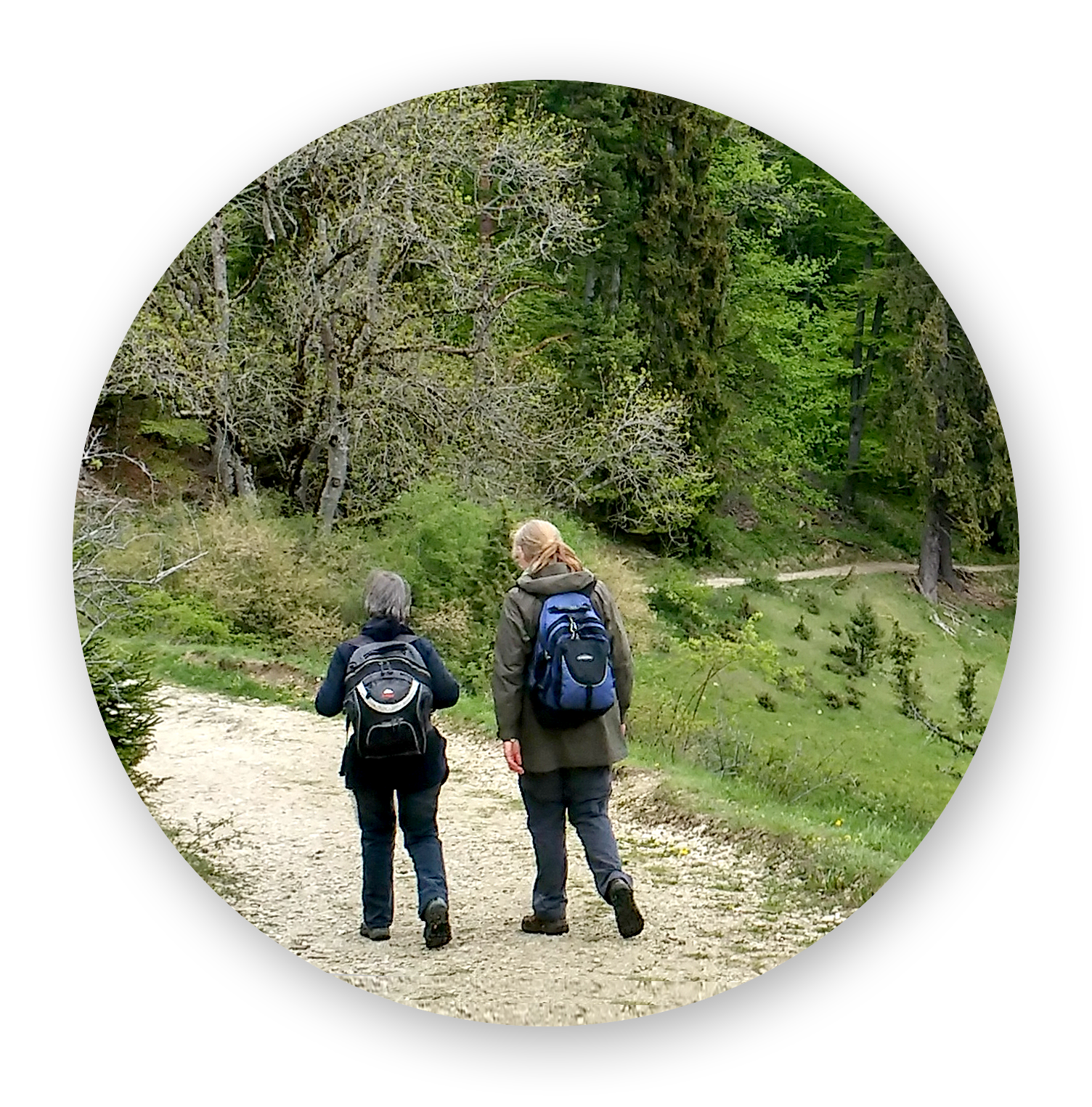 Bild – 2 Frauen wandern in der Natur – Bereich Naturcoaching & Persönlichkeitsentwicklung in der Natur